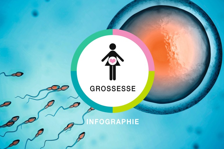 Infographie-rectangle-grossesse_2400